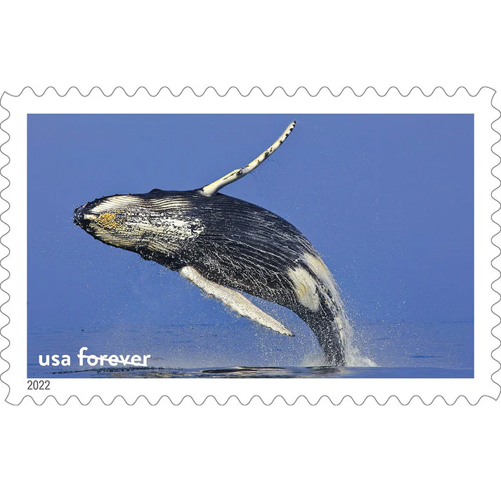1_ea39970f-cd20-4c02-804b-c6dd3d0209ba 1 ea39970f cd20 4c02 804b c6dd3d0209ba - Forever Stamps