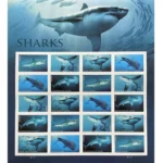 Sharks 2017 3 - Forever Stamps 2 2 1fc9443e f189 4f1c 989e e35e4eed2c99 2 - Forever Stamps