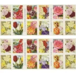 Botanical Art 2016 3 - Forever Stamps 2 22ceb90b 4f05 46b1 828a 56f7c2fe8892 2 - Forever Stamps