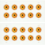 Global African Daisy 2022 3 - Forever Stamps 2 28 587a3d72 1636 4897 9a0e 322e1ef2e1c7 2 - Forever Stamps