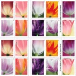 2 9 2 - Forever Stamps