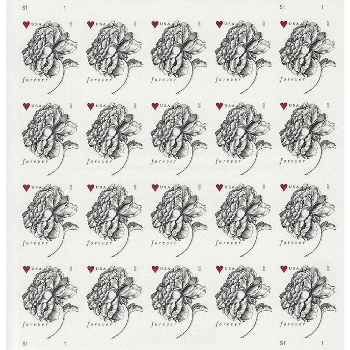 2-99b109cc-c6b7-420d-97ee-27d254b06bb2-_2 2 99b109cc c6b7 420d 97ee 27d254b06bb2 2 - Forever Stamps