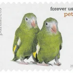 2 ad57904d 7bbd 48ec a6b6 15e1da652737 20 - Forever Stamps