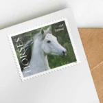 485204 Z1 - Forever Stamps