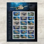 Protect Sea Turtles 2024 2 - Forever Stamps 581304 Z0 - Forever Stamps