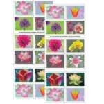 81NLJuXQg8L. AC SL1500 f02845ff 0950 498e 811c 4c78477926f6 - Forever Stamps
