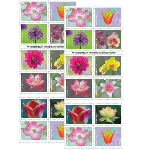 81NLJuXQg8L. AC SL1500 f02845ff 0950 498e 811c 4c78477926f6 - Forever Stamps