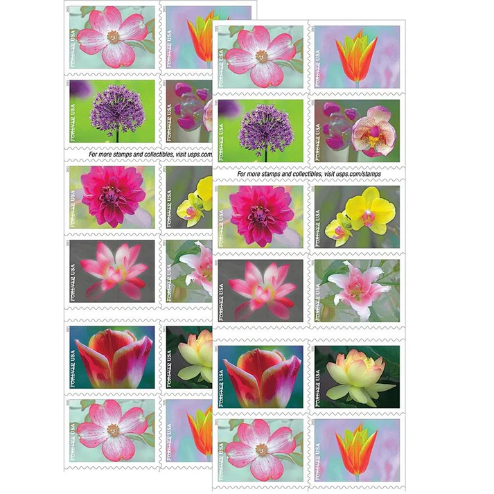 81NLJuXQg8L. AC SL1500 f02845ff 0950 498e 811c 4c78477926f6 - Forever Stamps