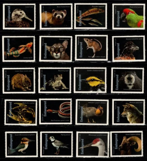 Animal 24 1 - Forever Stamps