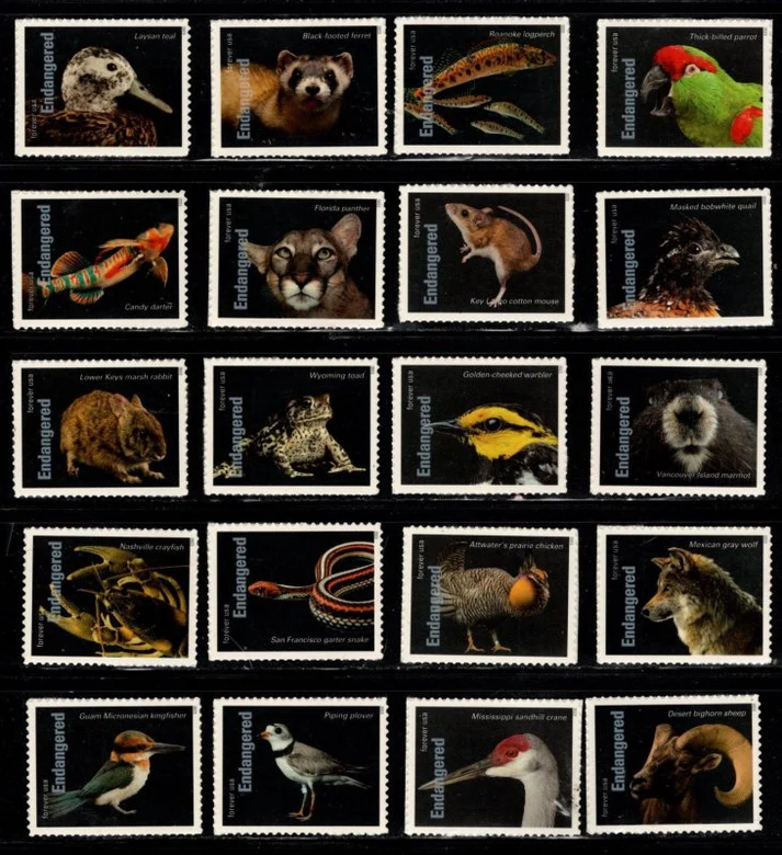 Animal 24 1 - Forever Stamps