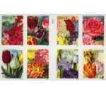 Botanical Art 2016 2 - Forever Stamps Botanical Art 2016 - Forever Stamps