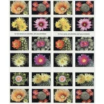 CactusFlowers2019 2 2 - Forever Stamps