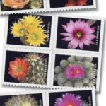 Cactus Flowers 2019 - Forever Stamps
