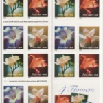 Four Orchids 2020 3 - Forever Stamps FL 29 15 - Forever Stamps