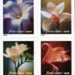 Four Orchids 2020 2 - Forever Stamps FL 29 24 - Forever Stamps