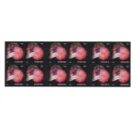 FlagFireworks2014 2 - Forever Stamps