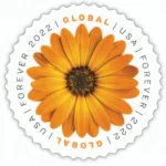Global African Daisy 2022 2 - Forever Stamps GlobalAfricanDaisy2022 - Forever Stamps