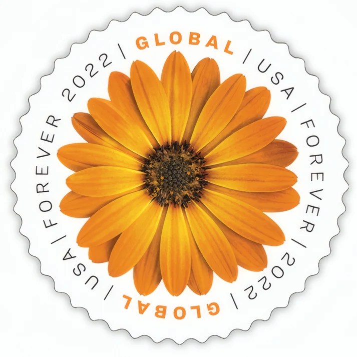 Global African Daisy 2022 1 - Forever Stamps Global African Daisy 2022
