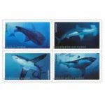 Sharks 2017 2 - Forever Stamps Sharks2017 - Forever Stamps