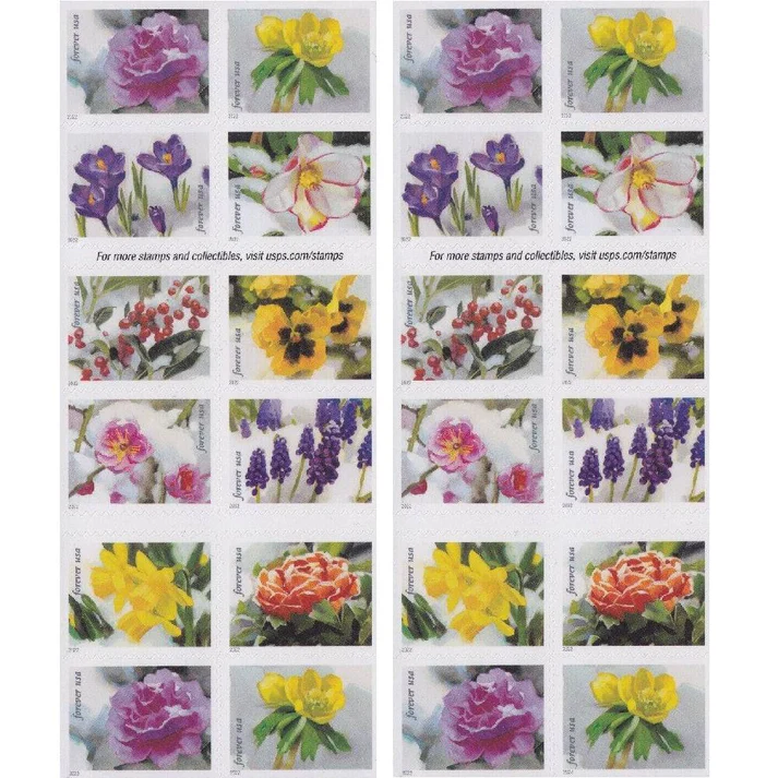 SnowyBeauty20222-_2 SnowyBeauty20222 2 - Forever Stamps