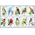 Songbird2014 - Forever Stamps