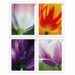 TulipBlossoms2023 - Forever Stamps