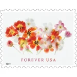 Tulips 2022 2 - Forever Stamps Tulips2022 - Forever Stamps