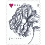 Vintage Rose 2015 2 - Forever Stamps VintageRose2015 - Forever Stamps