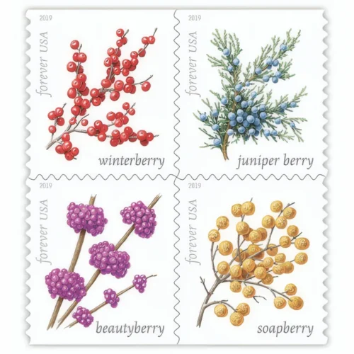 WinterBerries2019 - Forever Stamps