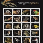 endangered species - Forever Stamps