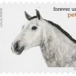 image 1 19 - Forever Stamps