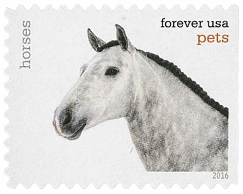 image 1 19 - Forever Stamps
