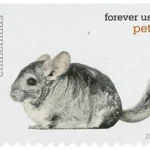 image 10 10 - Forever Stamps