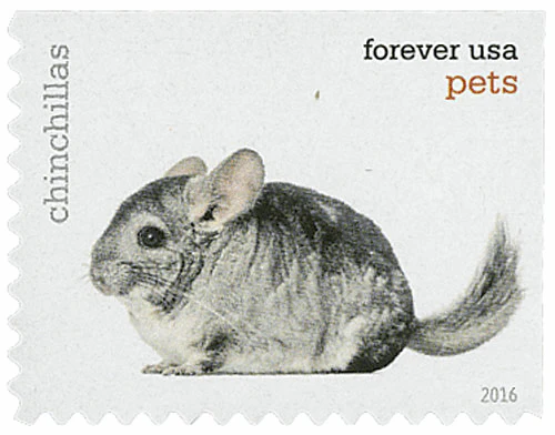 image 10 10 - Forever Stamps