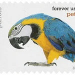 image 11 9 - Forever Stamps