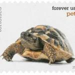 image 12 8 - Forever Stamps