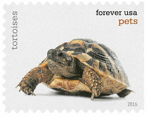 image 12 8 - Forever Stamps