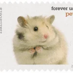 image 14 6 - Forever Stamps
