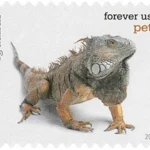 image 15 5 - Forever Stamps
