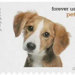 image 16 2 - Forever Stamps