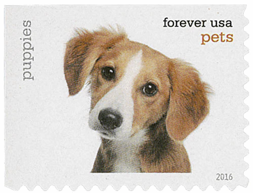 image 16 2 - Forever Stamps