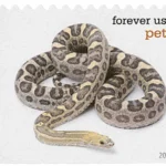 image 17 4 - Forever Stamps