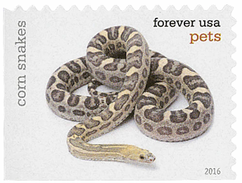 image 17 4 - Forever Stamps