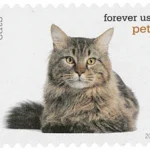 image 2 18 - Forever Stamps