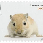 image 3 17 - Forever Stamps