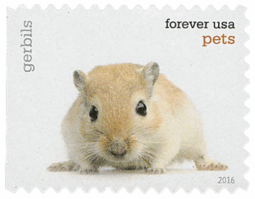 image 3 17 - Forever Stamps