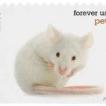 image 4 16 - Forever Stamps
