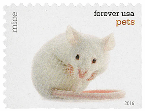 image 4 16 - Forever Stamps