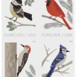 Birds in Winter 2018 2 - Forever Stamps image 5 51c74feb 2061 4405 8c7e 45ee0d907f59 1 - Forever Stamps