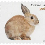 image 5 15 - Forever Stamps